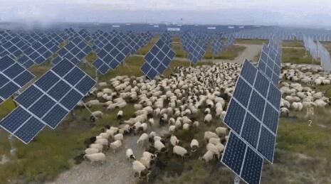 【電廠】2018年水電再次霸屏央視 水光互補(bǔ)項(xiàng)目閃亮登場(chǎng)！【電廠】2018年水電再次霸屏央視 水光互補(bǔ)項(xiàng)目閃亮登場(chǎng)！ 行業(yè)資訊 第6張