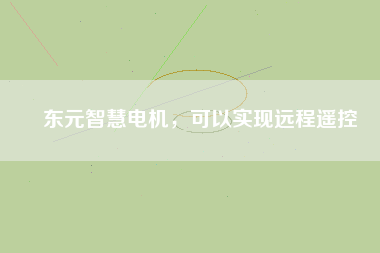 東元智慧電機，可以實現(xiàn)遠程遙控