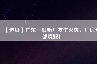 【造紙】廣東一紙箱廠發(fā)生火災(zāi)，廠房全部燒毀！