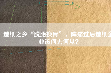 造紙之鄉(xiāng)“脫胎換骨”，陣痛過后造紙企業(yè)該何去何從？