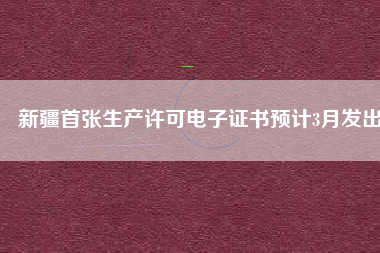 新疆首張生產許可電子證書預計3月發(fā)出