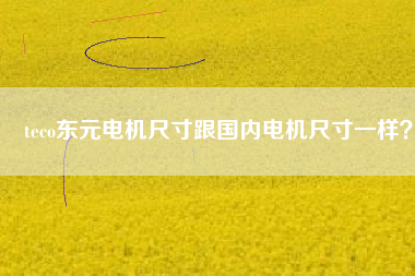 teco東元電機(jī)尺寸跟國(guó)內(nèi)電機(jī)尺寸一樣？