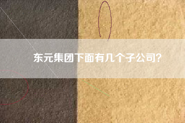 東元集團下面有幾個子公司？