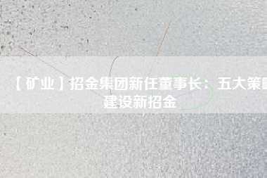 【礦業(yè)】招金集團(tuán)新任董事長：五大策略建設(shè)新招金