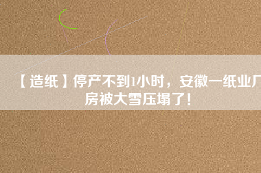 【造紙】停產(chǎn)不到1小時(shí)，安徽一紙業(yè)廠房被大雪壓塌了！