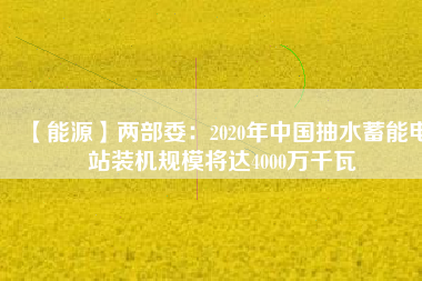 【能源】兩部委：2020年中國抽水蓄能電站裝機(jī)規(guī)模將達(dá)4000萬千瓦