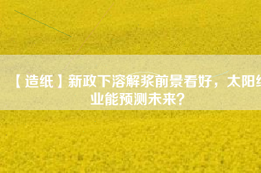 【造紙】新政下溶解漿前景看好，太陽紙業(yè)能預(yù)測未來？