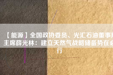 【能源】全國(guó)政協(xié)委員、光匯石油董事局主席薛光林：建立天然氣戰(zhàn)略儲(chǔ)備勢(shì)在必行