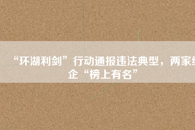 “環(huán)湖利劍”行動通報違法典型，兩家紙企“榜上有名”