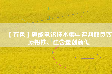 【有色】旗能電鋁技術(shù)集中評判取良效 原鋁鐵、硅含量創(chuàng)新低