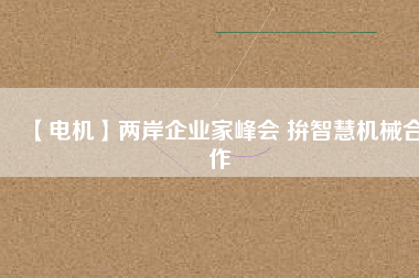 【電機(jī)】兩岸企業(yè)家峰會(huì) 拚智慧機(jī)械合作
          
