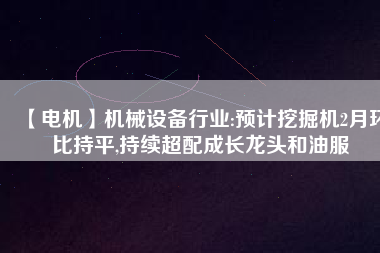 【電機(jī)】機(jī)械設(shè)備行業(yè):預(yù)計挖掘機(jī)2月環(huán)比持平,持續(xù)超配成長龍頭和油服
          