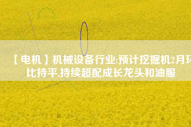 【電機(jī)】機(jī)械設(shè)備行業(yè):預(yù)計挖掘機(jī)2月環(huán)比持平,持續(xù)超配成長龍頭和油服
          