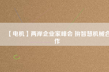 【電機(jī)】兩岸企業(yè)家峰會(huì) 拚智慧機(jī)械合作
          