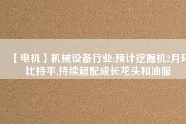 【電機(jī)】機(jī)械設(shè)備行業(yè):預(yù)計挖掘機(jī)2月環(huán)比持平,持續(xù)超配成長龍頭和油服
          