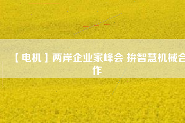 【電機(jī)】兩岸企業(yè)家峰會(huì) 拚智慧機(jī)械合作
          