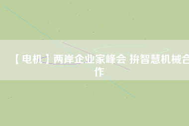 【電機(jī)】兩岸企業(yè)家峰會(huì) 拚智慧機(jī)械合作
          