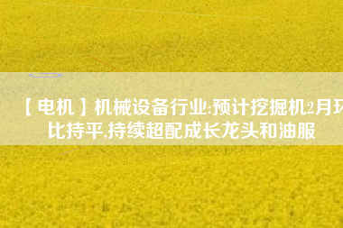 【電機(jī)】機(jī)械設(shè)備行業(yè):預(yù)計挖掘機(jī)2月環(huán)比持平,持續(xù)超配成長龍頭和油服
          