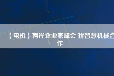 【電機(jī)】兩岸企業(yè)家峰會(huì) 拚智慧機(jī)械合作
          