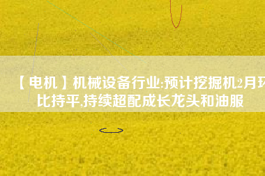 【電機(jī)】機(jī)械設(shè)備行業(yè):預(yù)計挖掘機(jī)2月環(huán)比持平,持續(xù)超配成長龍頭和油服
          