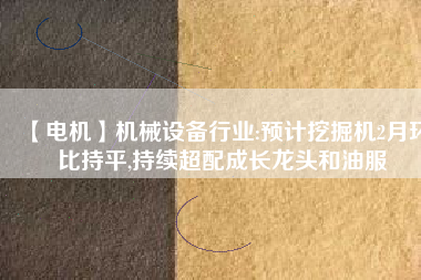 【電機(jī)】機(jī)械設(shè)備行業(yè):預(yù)計挖掘機(jī)2月環(huán)比持平,持續(xù)超配成長龍頭和油服
          