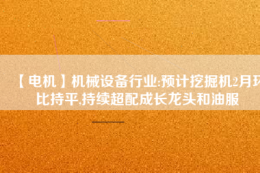 【電機(jī)】機(jī)械設(shè)備行業(yè):預(yù)計挖掘機(jī)2月環(huán)比持平,持續(xù)超配成長龍頭和油服
          