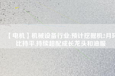 【電機(jī)】機(jī)械設(shè)備行業(yè):預(yù)計挖掘機(jī)2月環(huán)比持平,持續(xù)超配成長龍頭和油服
          