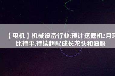 【電機(jī)】機(jī)械設(shè)備行業(yè):預(yù)計挖掘機(jī)2月環(huán)比持平,持續(xù)超配成長龍頭和油服
          