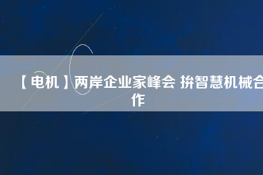 【電機(jī)】兩岸企業(yè)家峰會(huì) 拚智慧機(jī)械合作
          
