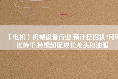 【電機(jī)】機(jī)械設(shè)備行業(yè):預(yù)計挖掘機(jī)2月環(huán)比持平,持續(xù)超配成長龍頭和油服
          