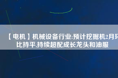 【電機(jī)】機(jī)械設(shè)備行業(yè):預(yù)計挖掘機(jī)2月環(huán)比持平,持續(xù)超配成長龍頭和油服
          