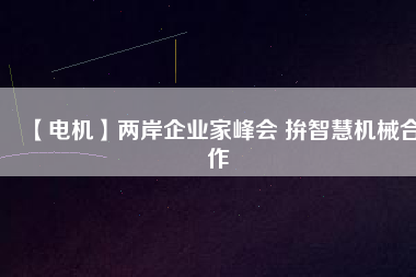 【電機(jī)】兩岸企業(yè)家峰會(huì) 拚智慧機(jī)械合作
          