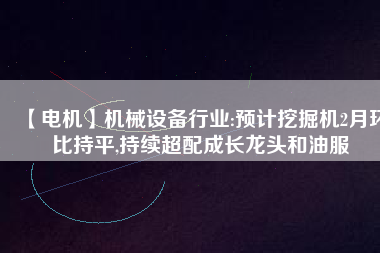 【電機(jī)】機(jī)械設(shè)備行業(yè):預(yù)計挖掘機(jī)2月環(huán)比持平,持續(xù)超配成長龍頭和油服
          