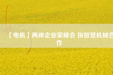 【電機(jī)】兩岸企業(yè)家峰會(huì) 拚智慧機(jī)械合作
          