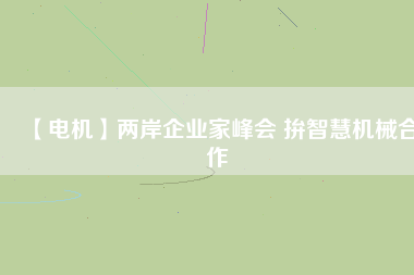 【電機(jī)】兩岸企業(yè)家峰會(huì) 拚智慧機(jī)械合作
          