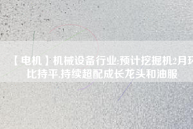 【電機(jī)】機(jī)械設(shè)備行業(yè):預(yù)計挖掘機(jī)2月環(huán)比持平,持續(xù)超配成長龍頭和油服
          