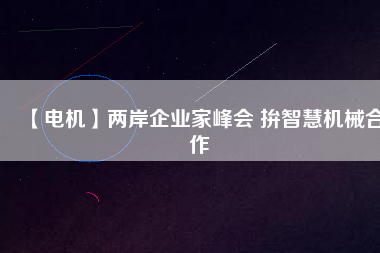 【電機(jī)】兩岸企業(yè)家峰會(huì) 拚智慧機(jī)械合作
          