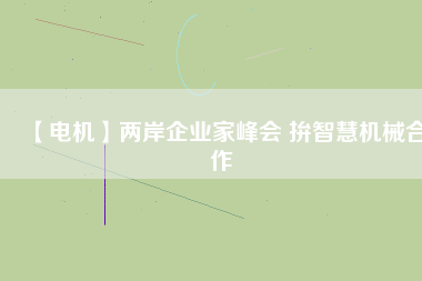 【電機(jī)】兩岸企業(yè)家峰會(huì) 拚智慧機(jī)械合作
          