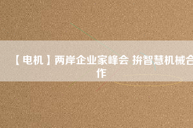 【電機(jī)】兩岸企業(yè)家峰會(huì) 拚智慧機(jī)械合作
          