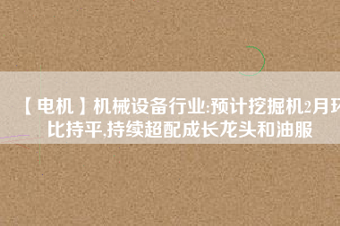 【電機(jī)】機(jī)械設(shè)備行業(yè):預(yù)計挖掘機(jī)2月環(huán)比持平,持續(xù)超配成長龍頭和油服
          