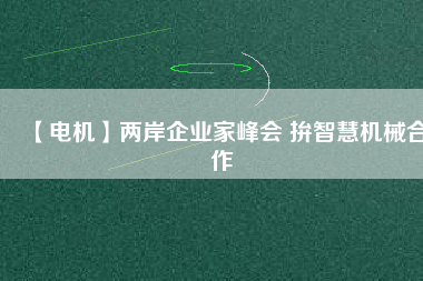 【電機(jī)】兩岸企業(yè)家峰會(huì) 拚智慧機(jī)械合作
          