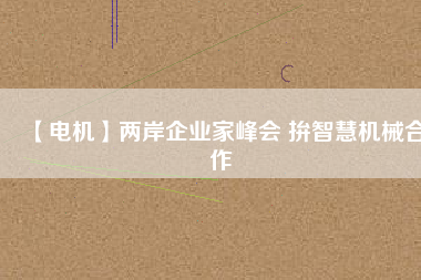 【電機(jī)】兩岸企業(yè)家峰會(huì) 拚智慧機(jī)械合作
          