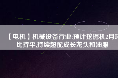 【電機(jī)】機(jī)械設(shè)備行業(yè):預(yù)計挖掘機(jī)2月環(huán)比持平,持續(xù)超配成長龍頭和油服
          