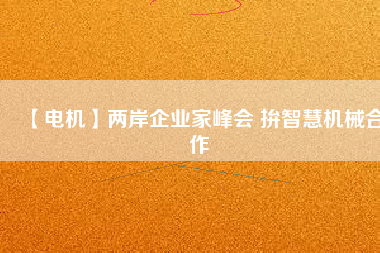 【電機(jī)】兩岸企業(yè)家峰會(huì) 拚智慧機(jī)械合作
          