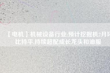 【電機(jī)】機(jī)械設(shè)備行業(yè):預(yù)計挖掘機(jī)2月環(huán)比持平,持續(xù)超配成長龍頭和油服
          