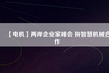 【電機(jī)】兩岸企業(yè)家峰會(huì) 拚智慧機(jī)械合作
          
