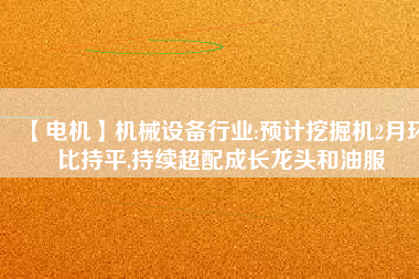 【電機(jī)】機(jī)械設(shè)備行業(yè):預(yù)計挖掘機(jī)2月環(huán)比持平,持續(xù)超配成長龍頭和油服
          