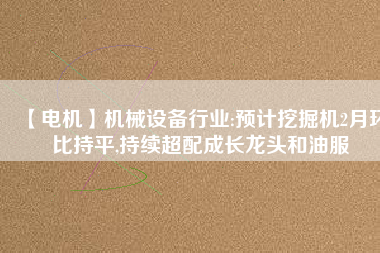 【電機(jī)】機(jī)械設(shè)備行業(yè):預(yù)計挖掘機(jī)2月環(huán)比持平,持續(xù)超配成長龍頭和油服
          