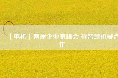 【電機(jī)】兩岸企業(yè)家峰會(huì) 拚智慧機(jī)械合作
          