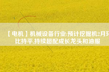 【電機(jī)】機(jī)械設(shè)備行業(yè):預(yù)計挖掘機(jī)2月環(huán)比持平,持續(xù)超配成長龍頭和油服
          